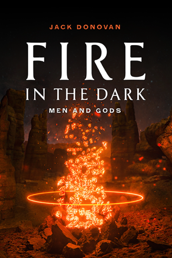 Fire in the Dark - Book